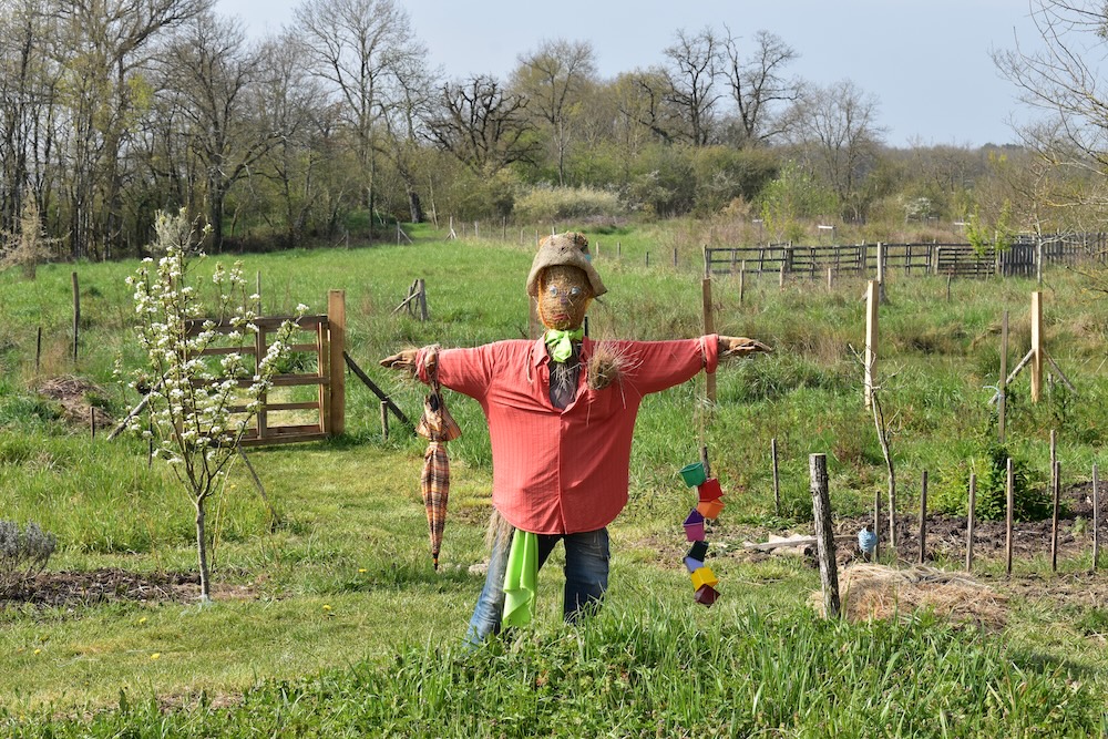 bs potager permaculture paillage eco gite rangarnaud