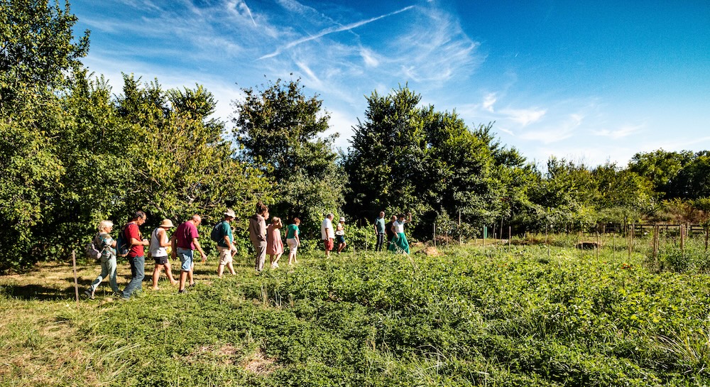 br2 foret comestible eco gite rangarnaud